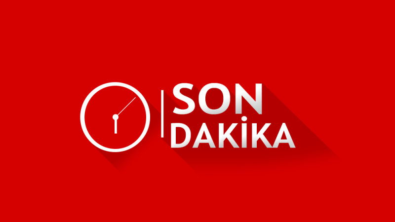 ÖLÜM TARLADA KOYUN OTLATIRKEN YAKALADI