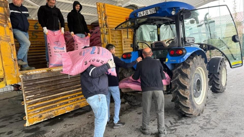 SİLİVRİ BELEDİYESİ DANAMANDIRA DA BUĞDAY TOHUMU DAĞITTI
