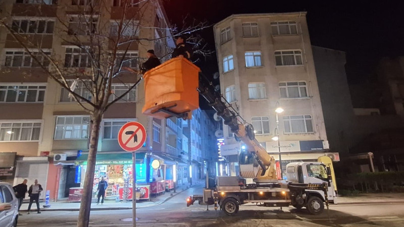 Silivri Belediyesi Ağaç Budama Çalışmalarına Devam Ediyor