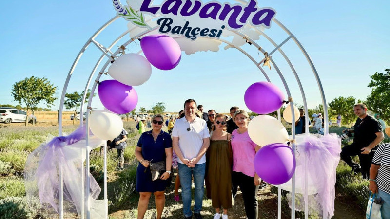 Geleneksel Lavanta Hasat Şenliği gerçekleşti